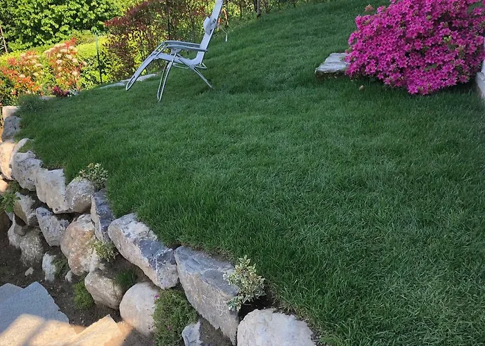 Angela Белладжо